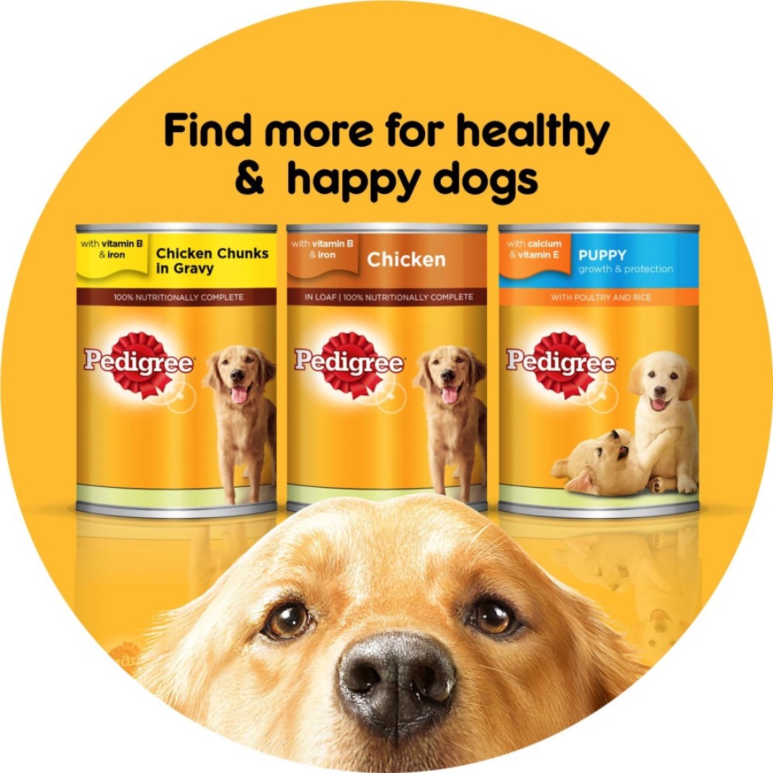 Pedigree Beef Chunks in Gravy Wet Food for Dog, 400g