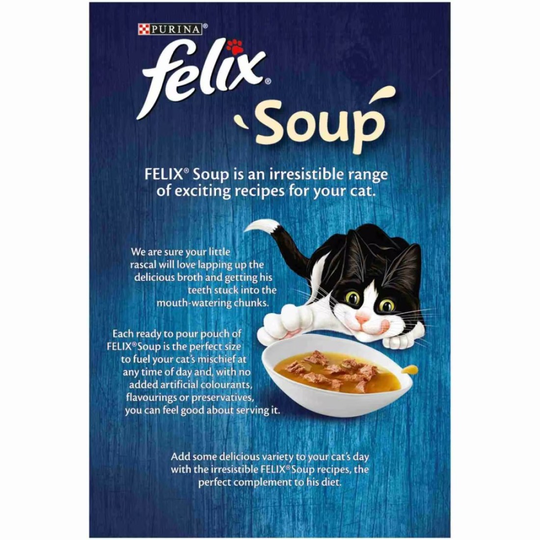 Purina Felix Soup Fish Selection Cat Wet Food, 48g Pack of 6