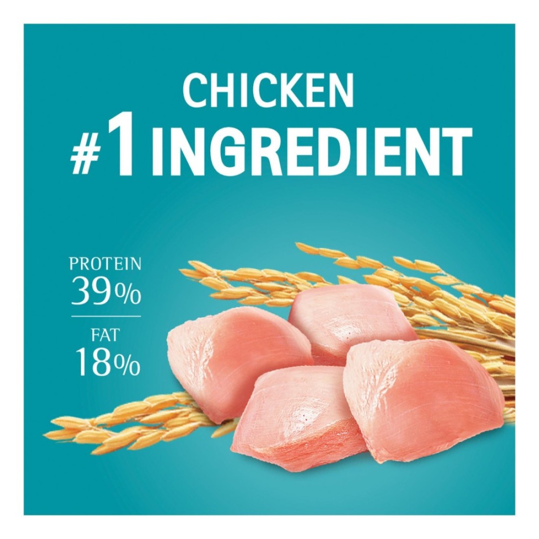 Purina One Visible Hairball Control with Chicken Cat Food, 1 Years and above, 1.2kg