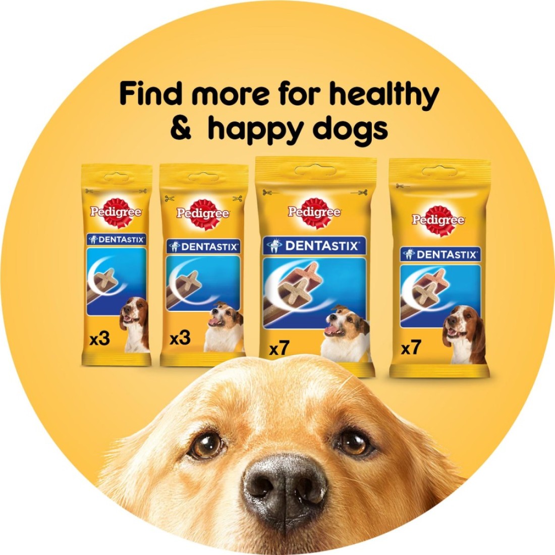Pedigree Dentastix Treats for Large Breed Dog 7 Treats, 270g