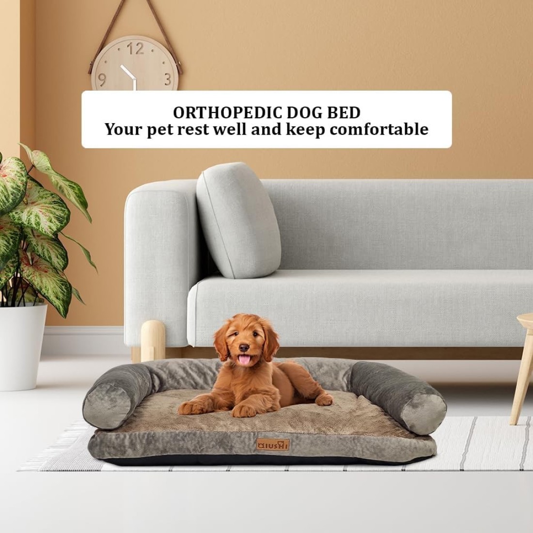 Orthopedic dog bed sofa with U-shaped bolster, Machine washable cover and nonskid bottom, Suitable for medium sized pets, Soft and comfortable dog bed 65 cm L (Khaki)