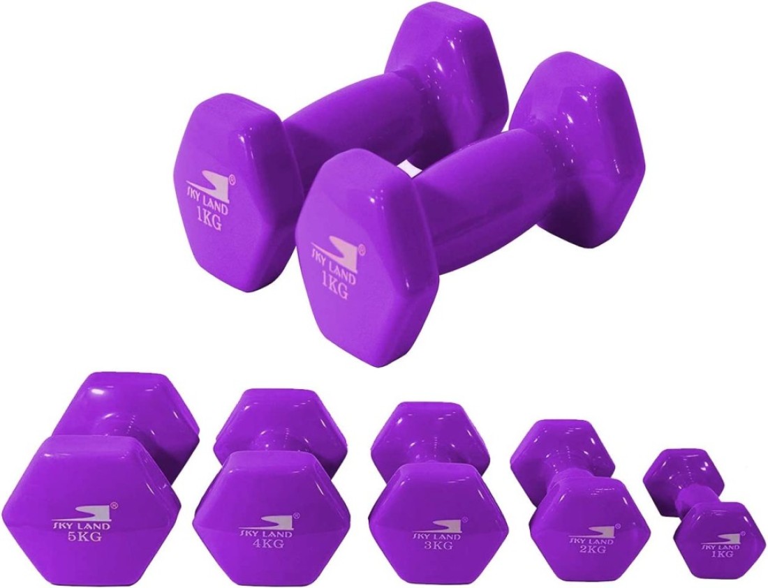 Sky Land Vinyl Dumbbell Classical Head 1 Kgx2 Purple