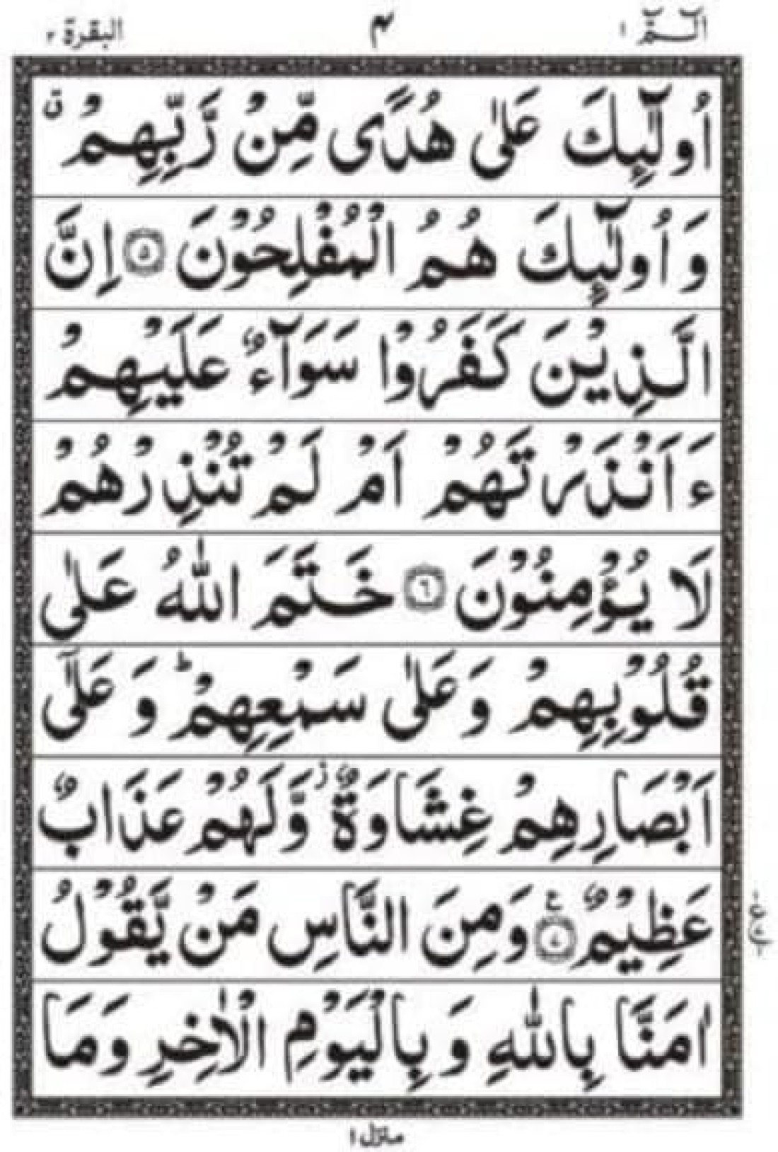 تجويد قدرة الله 100C قرآن مكون من 30 فقرة بخط أردو ورق عادي (خط كبير لكبار السن) مقاس كبير 17 * 24 سم