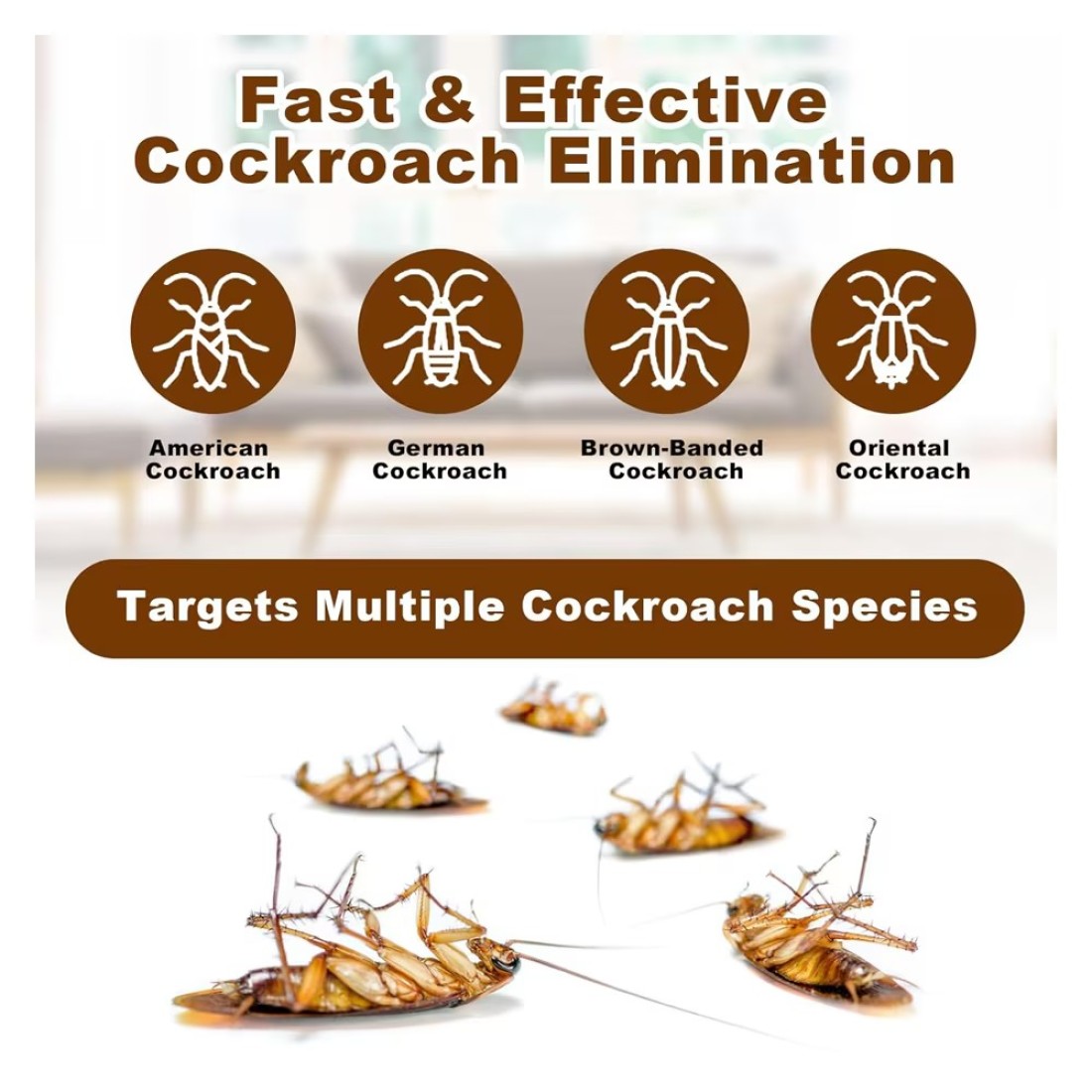 Roach Doctor Buy 3 Get 4 Syringe Gel Bait - Target Ants &amp; Cockroaches Effectively