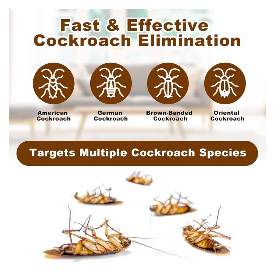 Cockroach Killer Gel Bait - Safe &amp; Effective Pest Control for Indoors &amp; Outdoors 10g