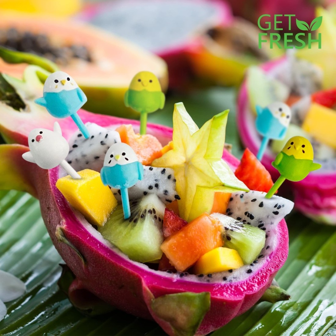 GET FRESH Animal Food Picks for Kids 18pcs Cute Bird Fruit Food Picks Set for Kids Toddlers Lunch Box Decoration Animal Bento Deco Children Toothpicks Reusable Easter Chicken Kids Toothpicks