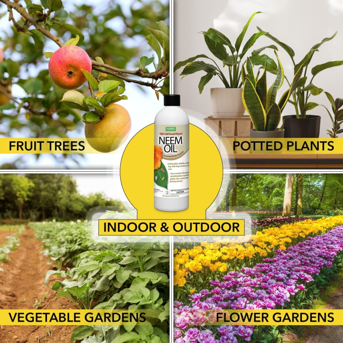 HARRIS Neem Oil 100 Cold Pressed and Unrefined Concentrate for Plant Spray High Azadirachtin Content 12 Ounce for Aphids Whiteflies Mealy Bugs and More