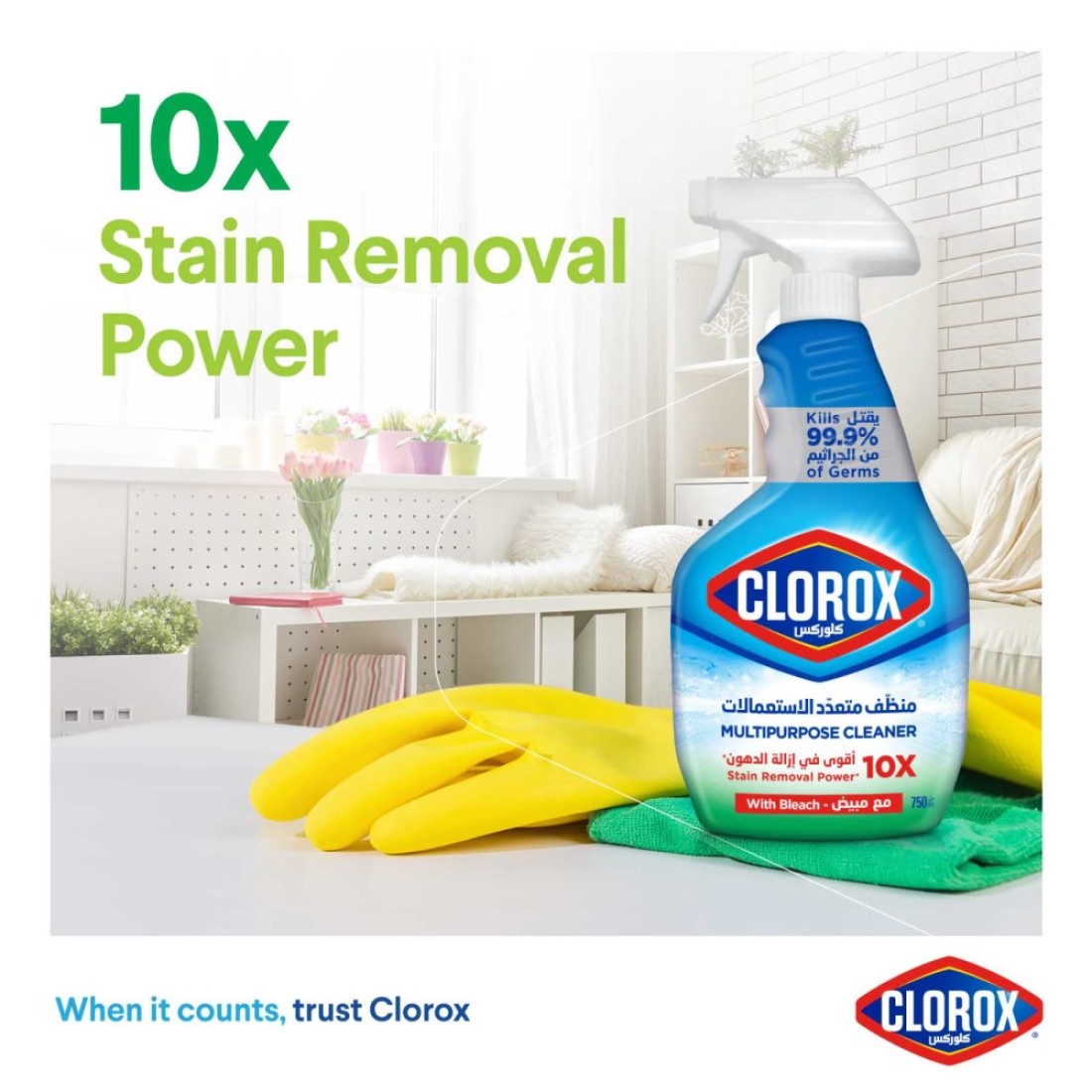 Clorox Multipurpose Spray Cleaner 750ml