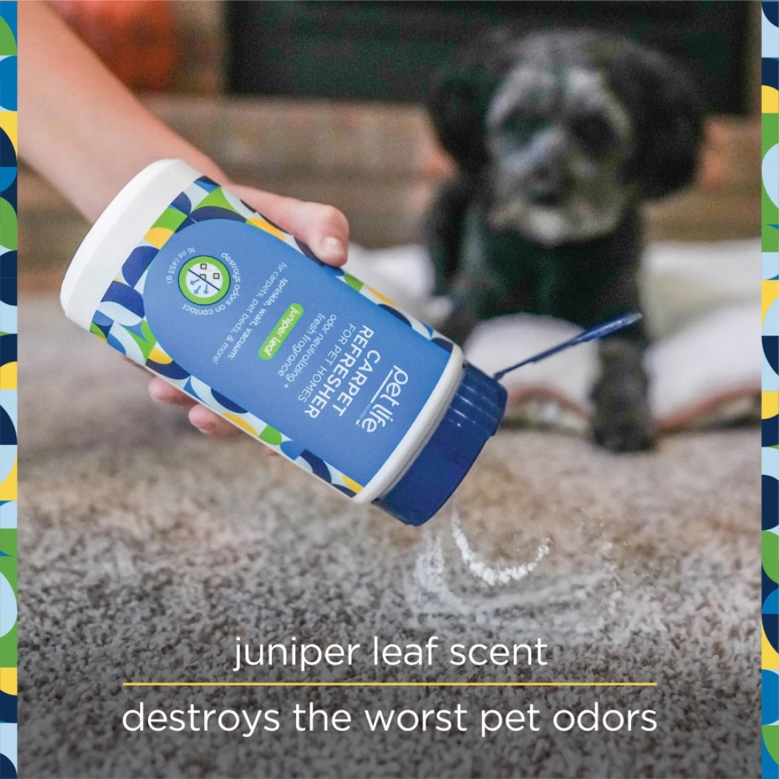 Pet Life Unlimited Carpet Refresher Powder Carpet Deodorizer Powder Pet Safe Carpet Powder Pet Odor Eliminator for Carpet with PlantBased Juniper Leaf Scent Made in the USA 16oz Pack of 1