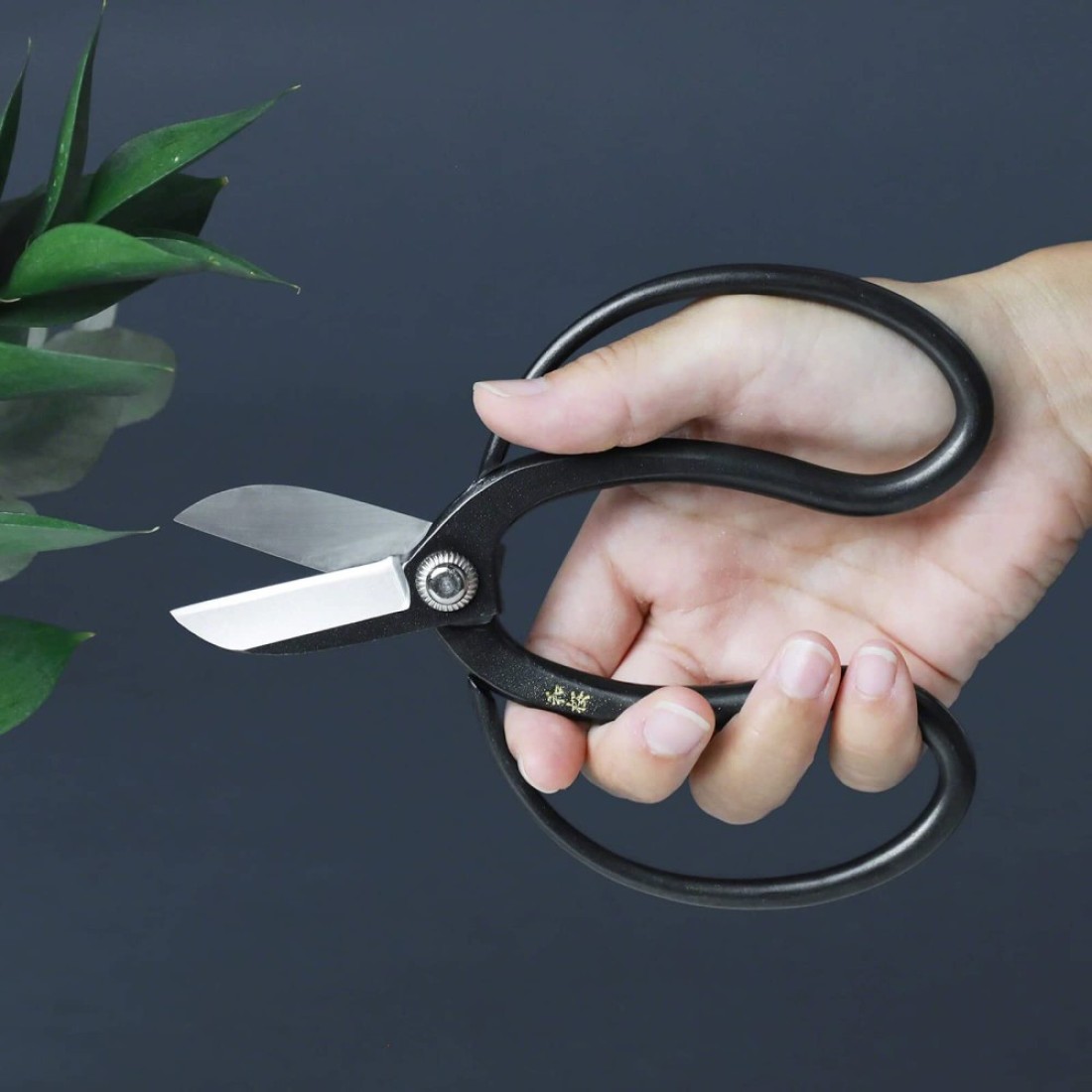 Wazakura Koryu Flower Arrangement Ikebana Scissors 65 in 165mm Made in Japan Floral Arrangement Hasami Japanese Kado Tools Yasugi Steel Koryu Scissors