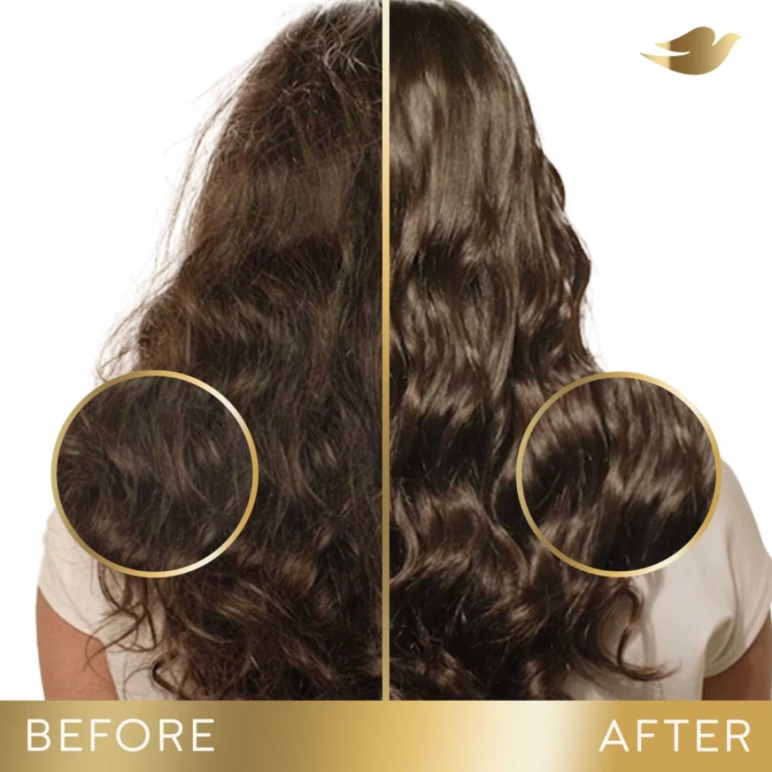 Dove Bond Repair Conditioner Bio Protein Care 180ml