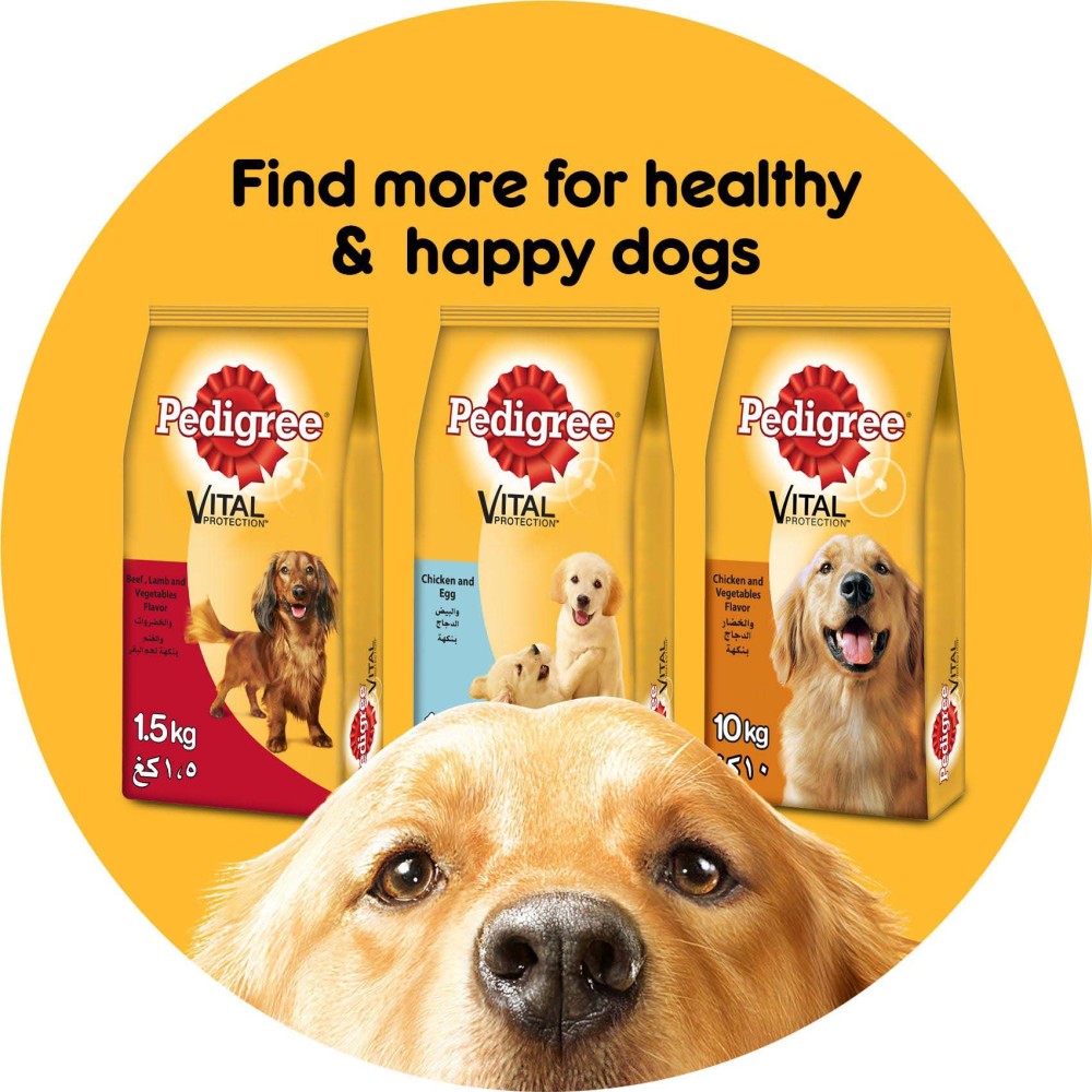 Pedigree Vital Protection Beef and Vegetables Flavour Dry Food for Adult Dog, 3kg
