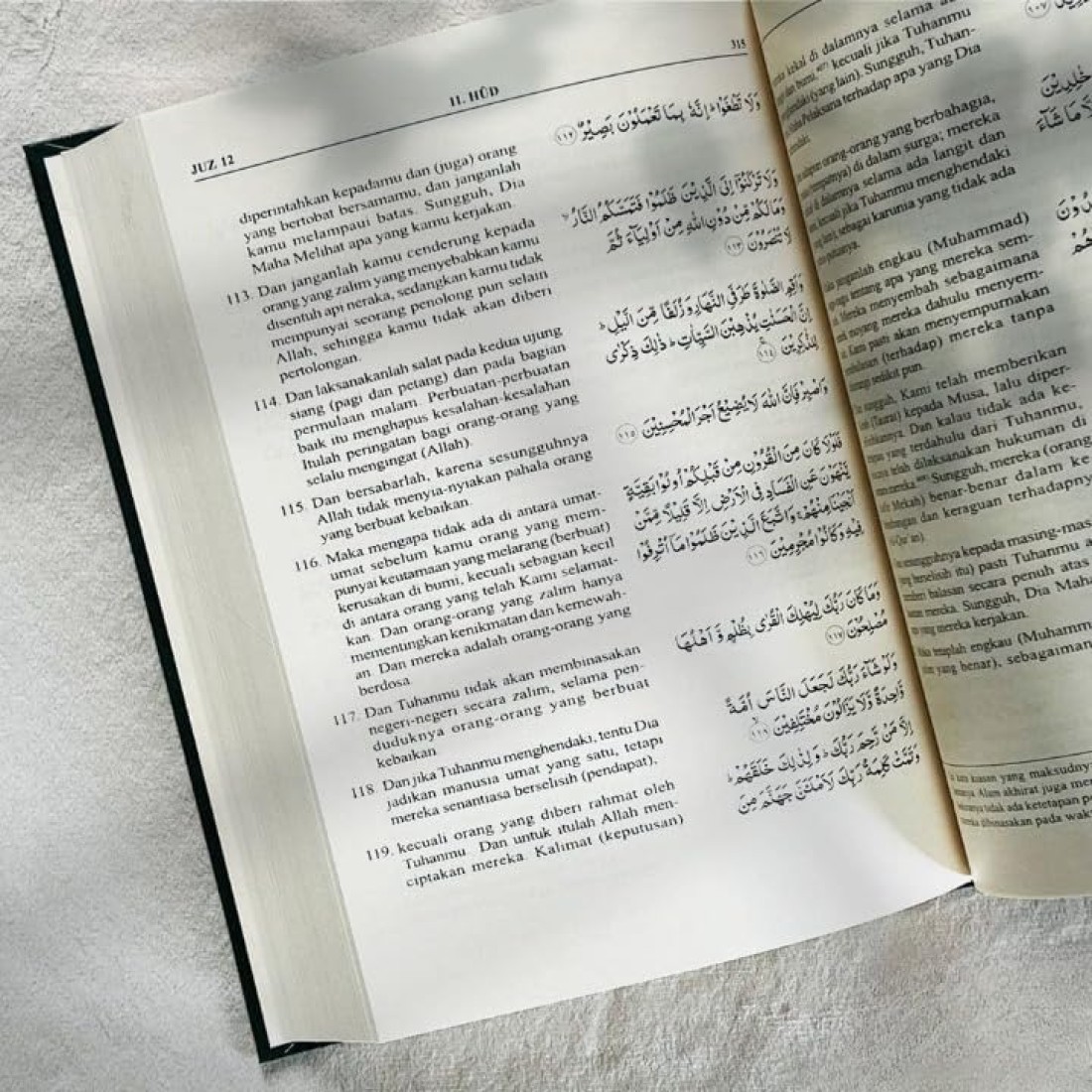 The Noble Quran with Indonesian Translation