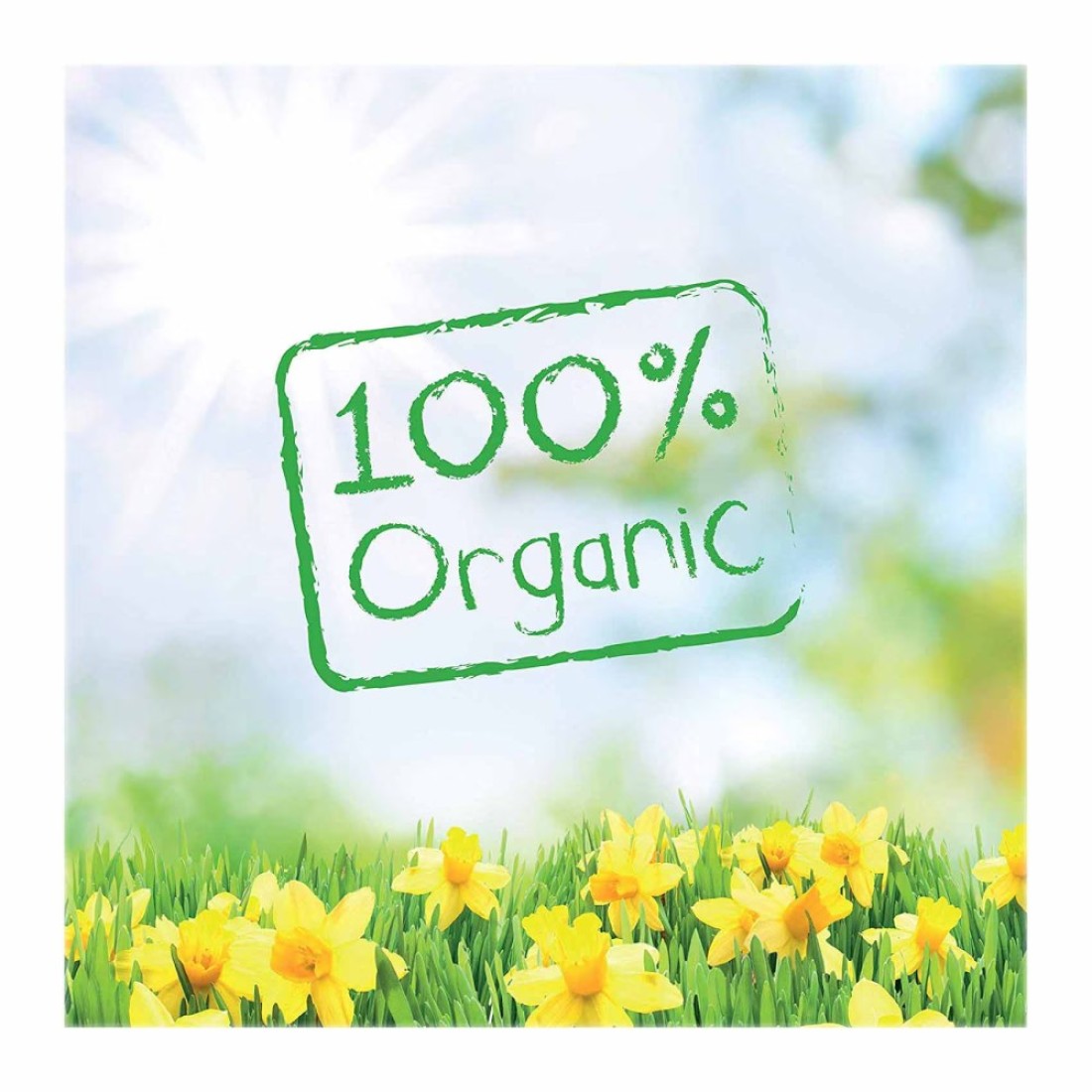 Humana Plain Organic 5-Cereals 200g