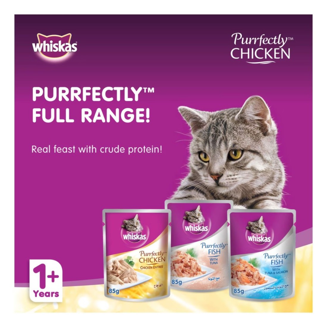 Whiskas Purrfectly Chicken Entree Wet Cat Food 85g Pack of 12