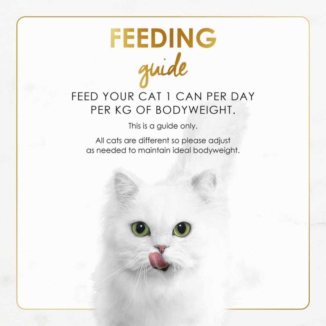 Purina Fancy Feast Grilled Chicken Feast in Gravy Wet Cat Food Can, 85g Pack of 6