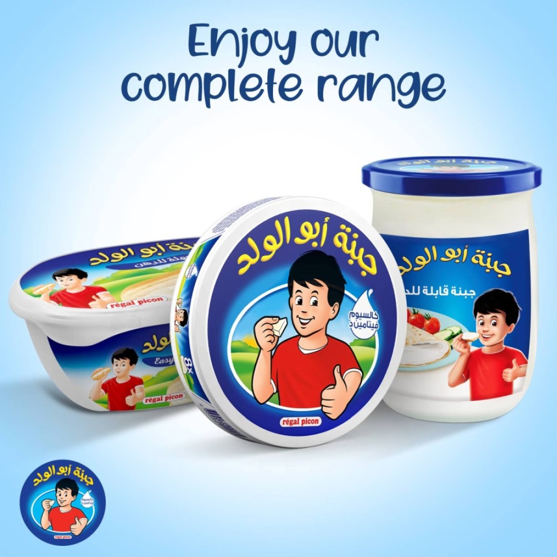 Regal Picon Cheese Triangles 5 Packs x 8 Portions 40 Portions 600g