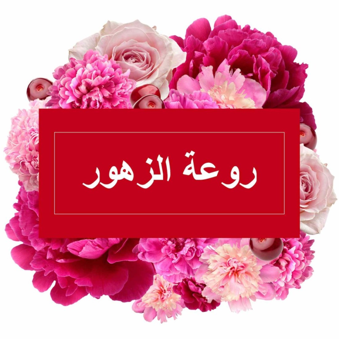 مستر ماسل فلورال برفكشن سائل منظف الأرضيات متعدد الاستعمالات 1 لتر