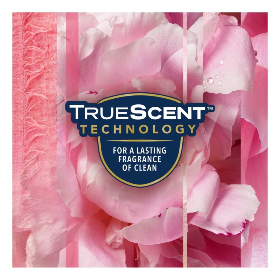 Glade Aerosol 2 Rose 1 Glade Aerosol Peony 300ml Pack of 3
