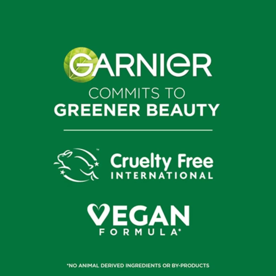 Garnier SkinActive Fast Bright 30x Vitamin C &amp; Niacinamide Anti Dark Spot Serum 30ml