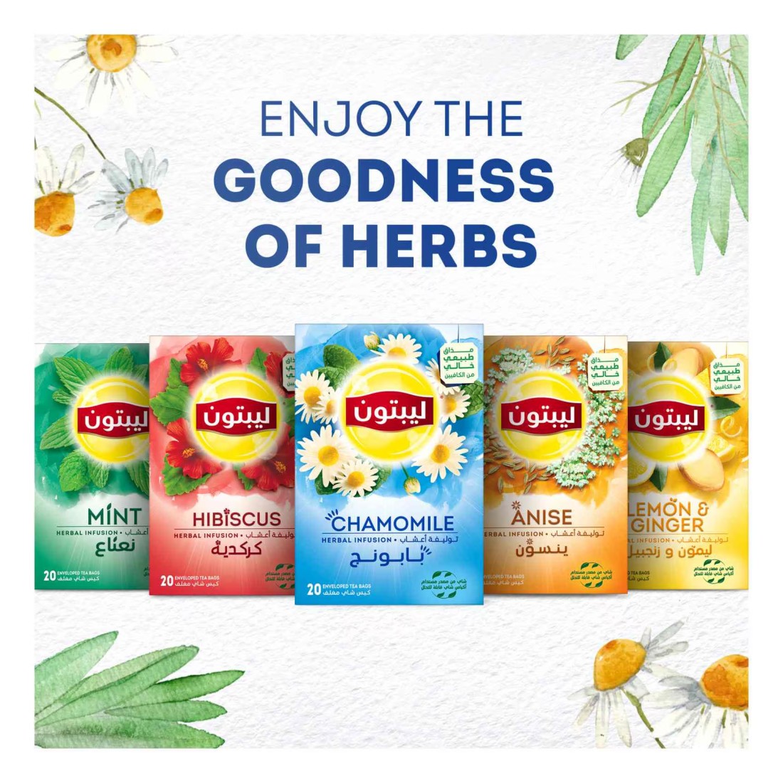 Lipton Herbal Infusion Tea Bags Relax Sleep Calm Chamomile Naturally Caffeine-Free 20 Tea Bags