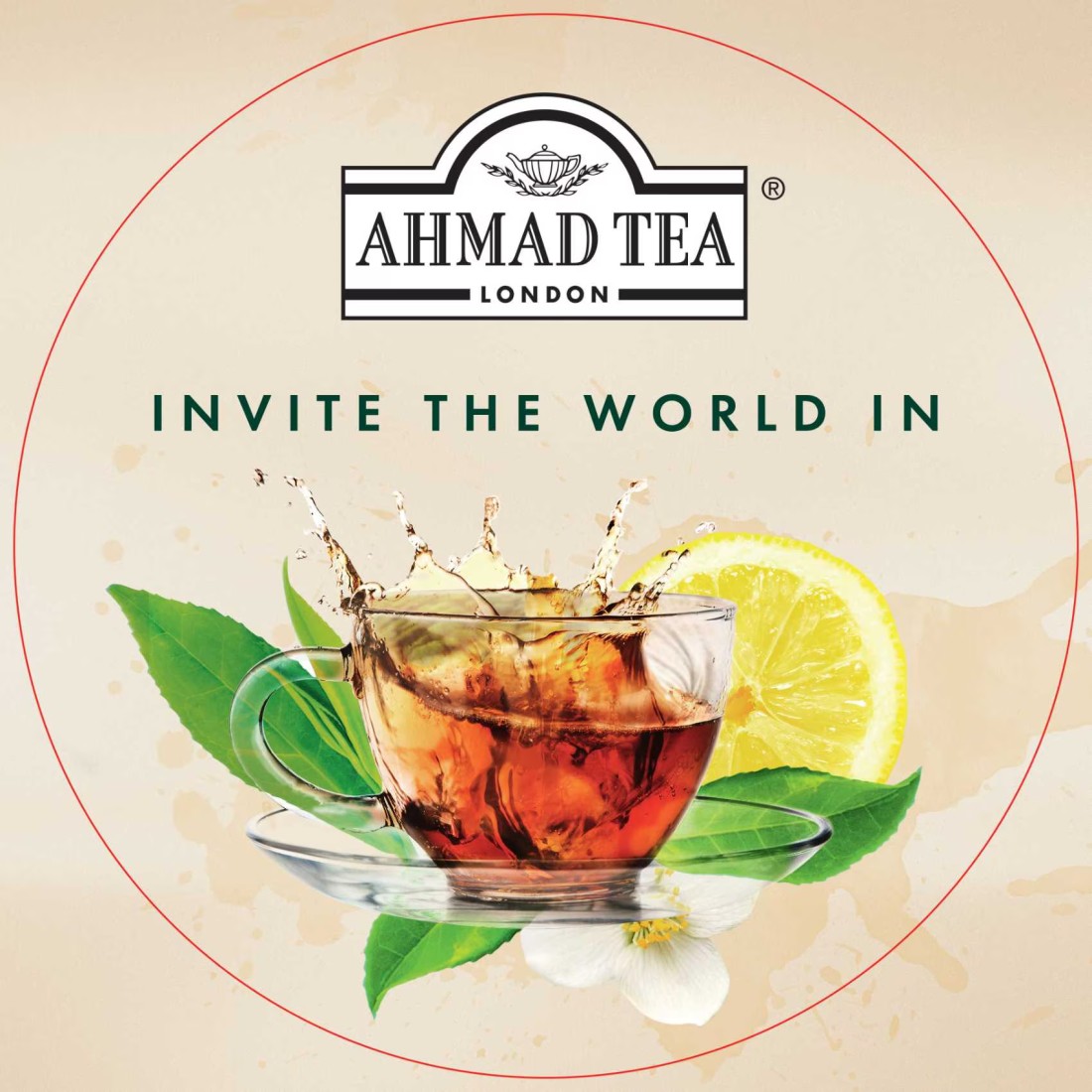 Ahmad Tea Cardamom Tea Tagged Tea Bags 100 Tea Bags