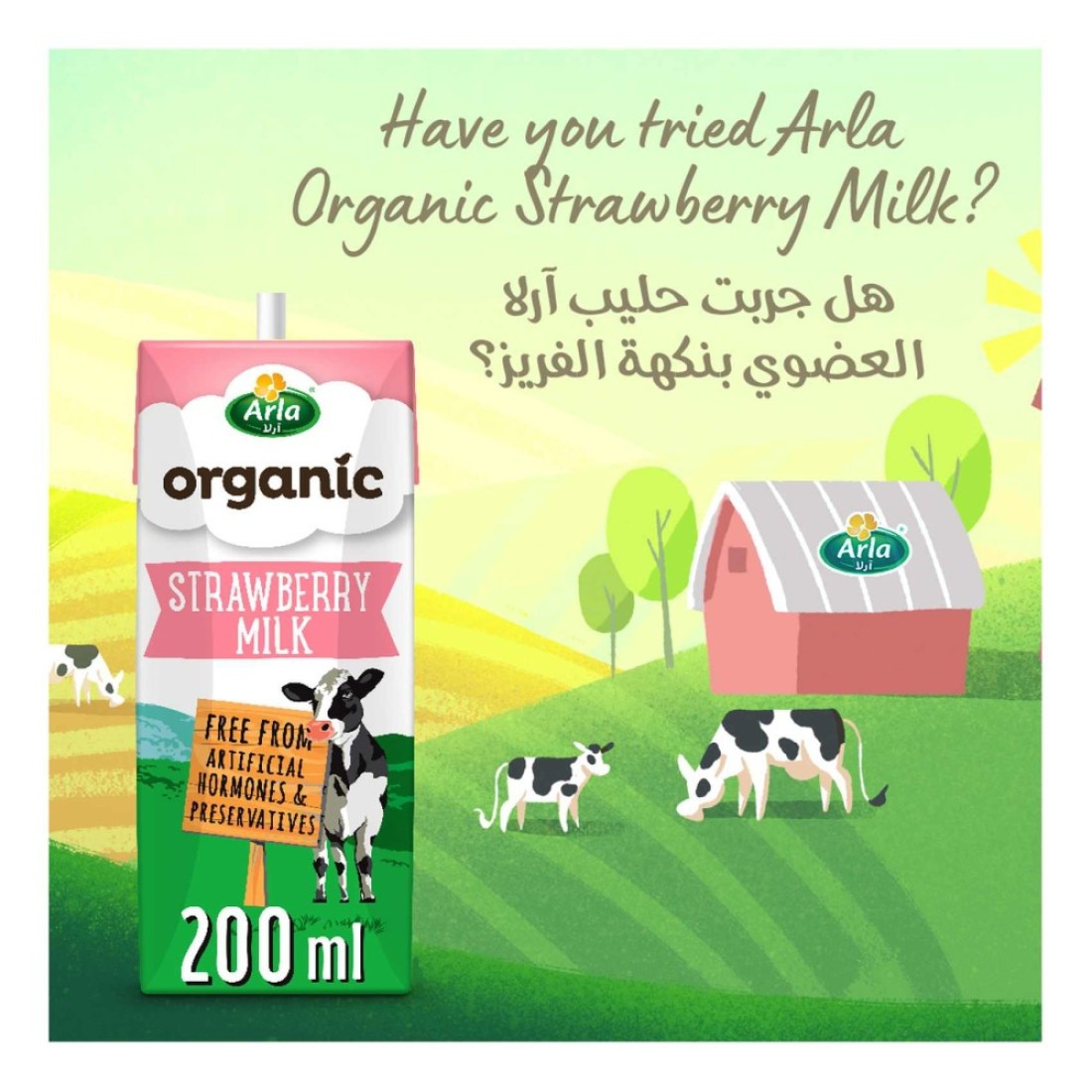 Arla Organic Chocolate Milk, 200ml
