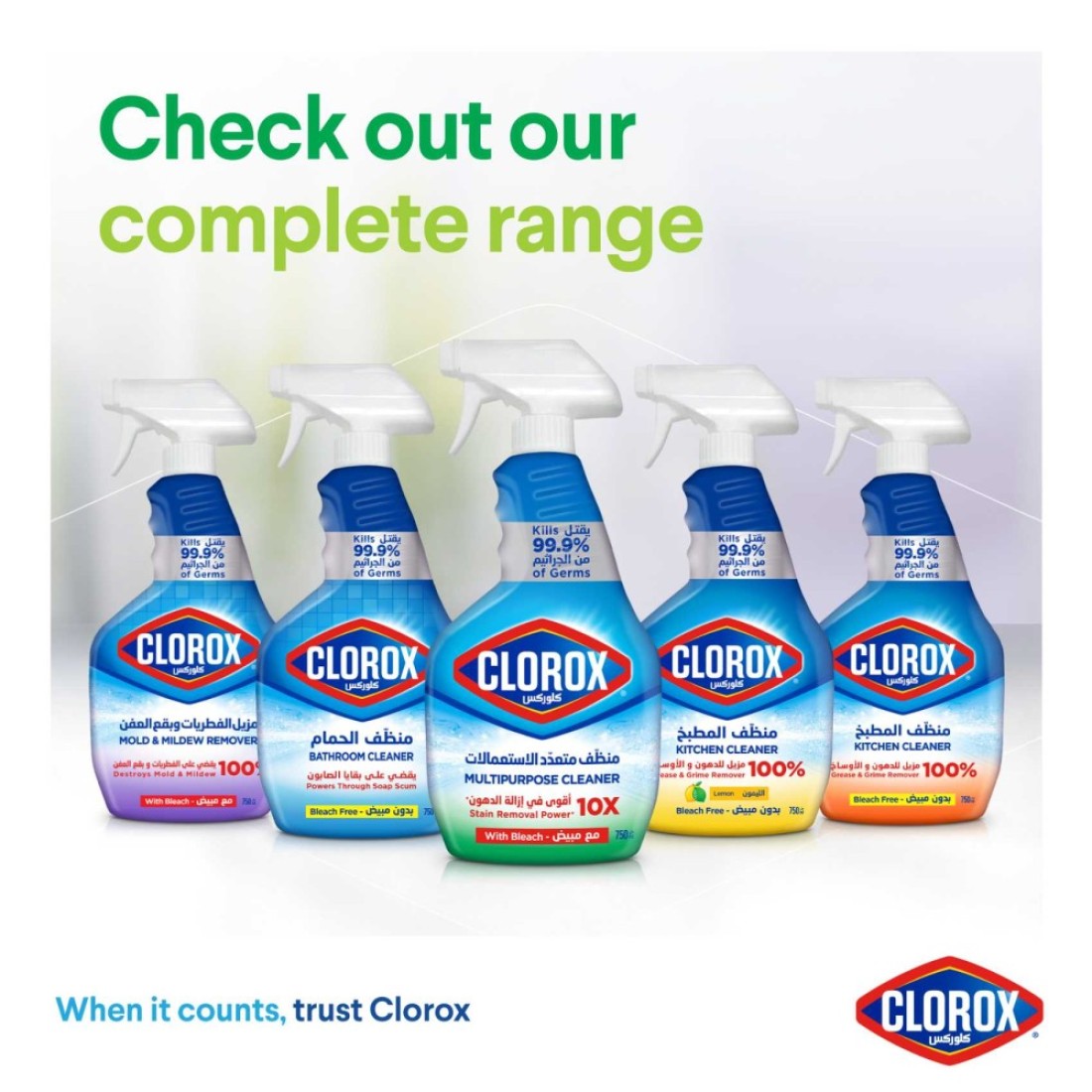 Clorox Multipurpose Spray Cleaner 750ml