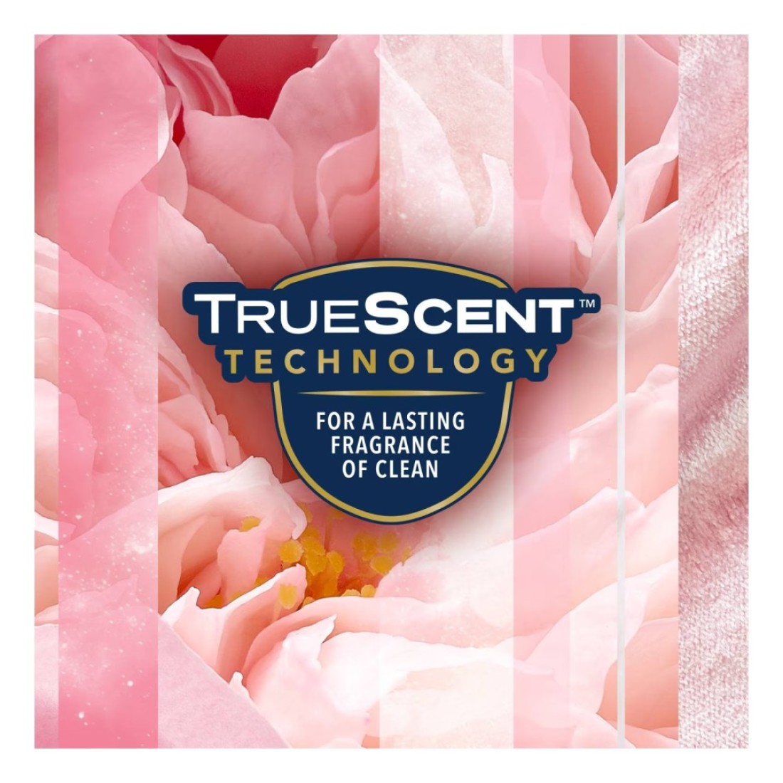 Glade Aerosol 2 Rose 1 Glade Aerosol Peony 300ml Pack of 3
