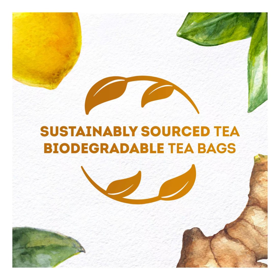Lipton Herbal Infusion Lemon And Ginger 20 Tea Bags