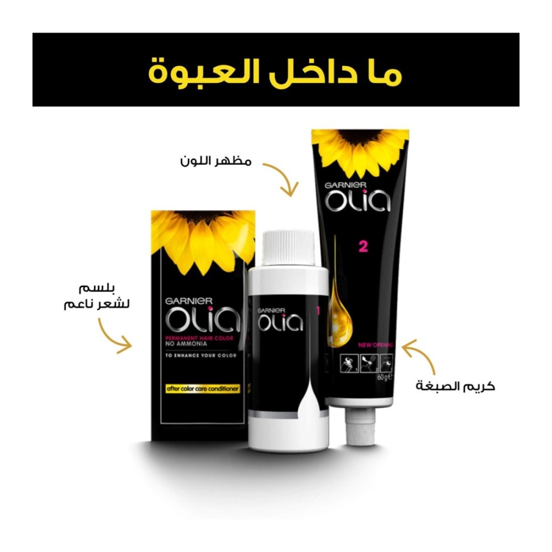 Garnier Olia Ammonia-Free Permanent Hair Colour 4.15 Iced Chocolate