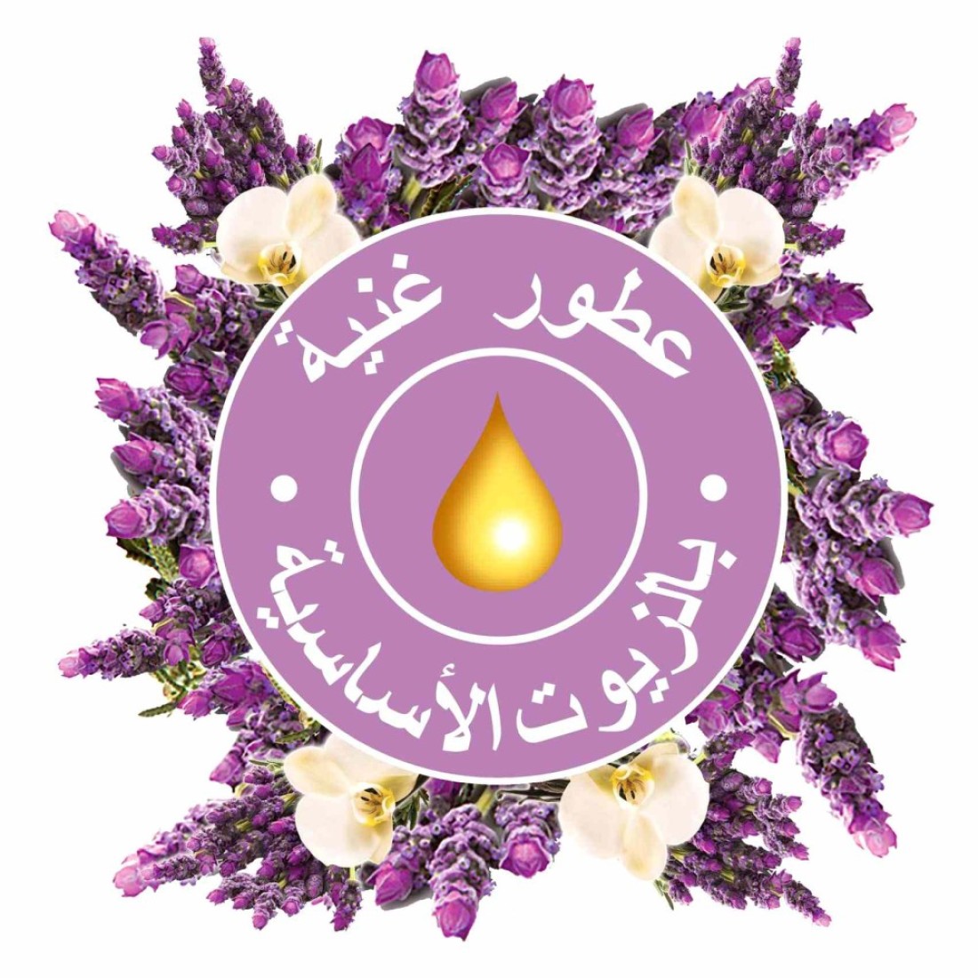 غلايد بخاخ أوتوماتيكي قابل لإعادة التعبئة برائحة الخزامي و الفانيلا -أبيض - 269 ملل حزمة من 2 مع بخاخ أوتوماتيكي قابل لإعادة التعبئة برائحة العنبر الأنيق والعود - أبيض - 269 ملل