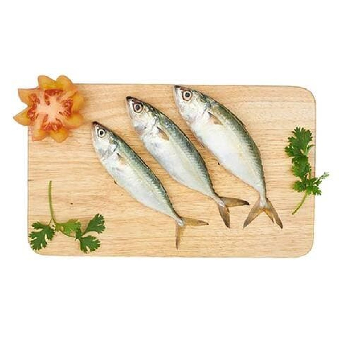 Small fresh mackerel
