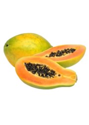 PAPAYA SOLO
