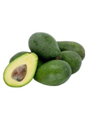 Avocado Fuerte Exotic Fruit