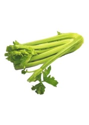 عصا الكرفس