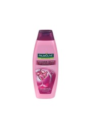 PALMOLIVE SHMP STRENGTH BRILLIANCE 380