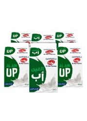 Al Ain Laban Up Drink 200ml Pack of 6