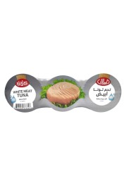 Al Alali White Meat Tuna In Water 170g Pack of 3