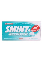Smint Clean Mints Breath Sugarfree Tin Wintergreen, 35g