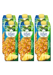 Hayatna Pineapple Juice 180ml Pack of 6