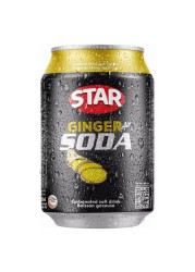 Star Ginger Ale Carbonated Soda 300ml