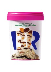 Baskin Robins Jamoca Almond Fudge Ice Cream 1L