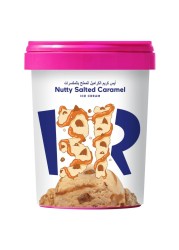 Baskin Robbins Nutty Salted Caramel Ice Cream 500ml