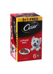 Cesar Beef Flavoured Wet Food for Dog, 100g Pack of 6