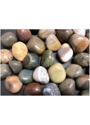 Polished Indian Stone 10 kg (1-2cm) Aquarium Pebbles Natural Gravel Fish Tank Stones