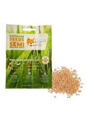 Erba Piu Cat Grass seeds