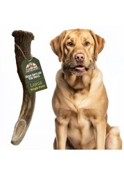 Heartland Deer Antlers for Dogs - Grade A, Naturally Shed Antlers Dog Bones for Aggressive Chewers &amp; Teething Puppies Chew Toy for All Breeds USA Made &amp; Veteran Owned (Large: 6-8&quot;, 1-Pack)