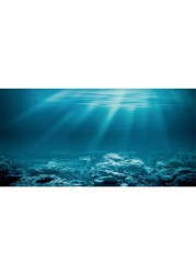 AWERT 72x24 inches Undersea Theme Aquarium Background Sunshine Underwater World Fish Tank Background Durable Polyester Background
