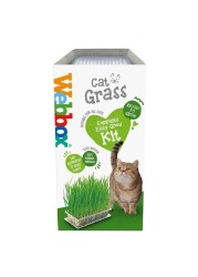 Webbox Cat Grass Complete Easy Grow Kit 120g